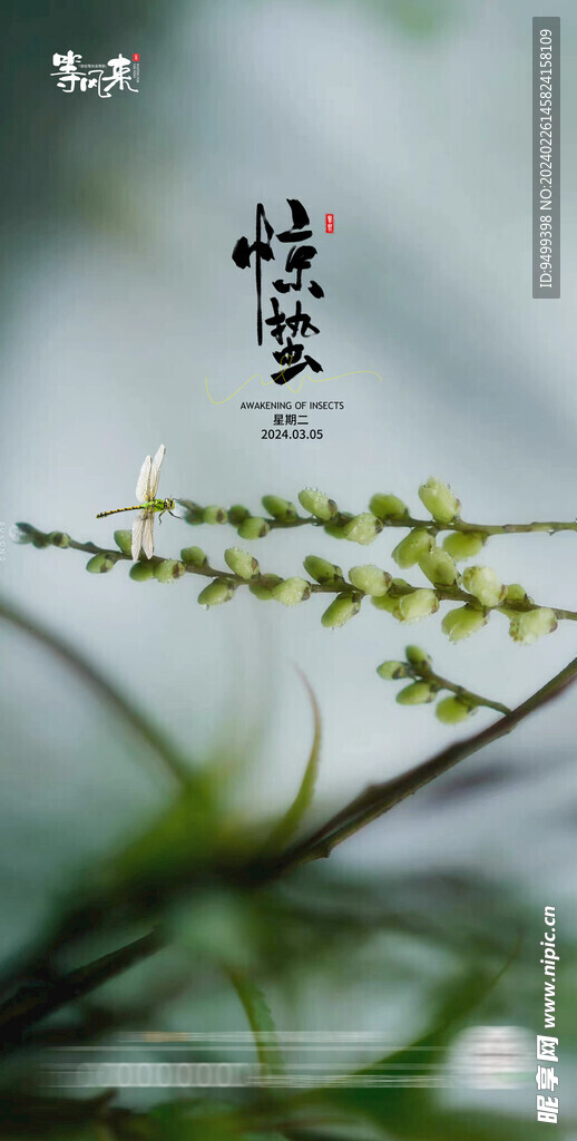 地产惊蛰海报