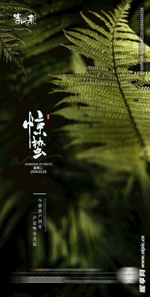 地产惊蛰海报