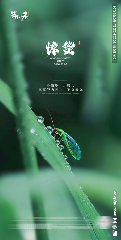 地产惊蛰海报