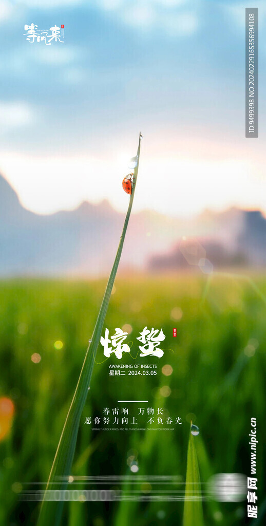 地产惊蛰海报