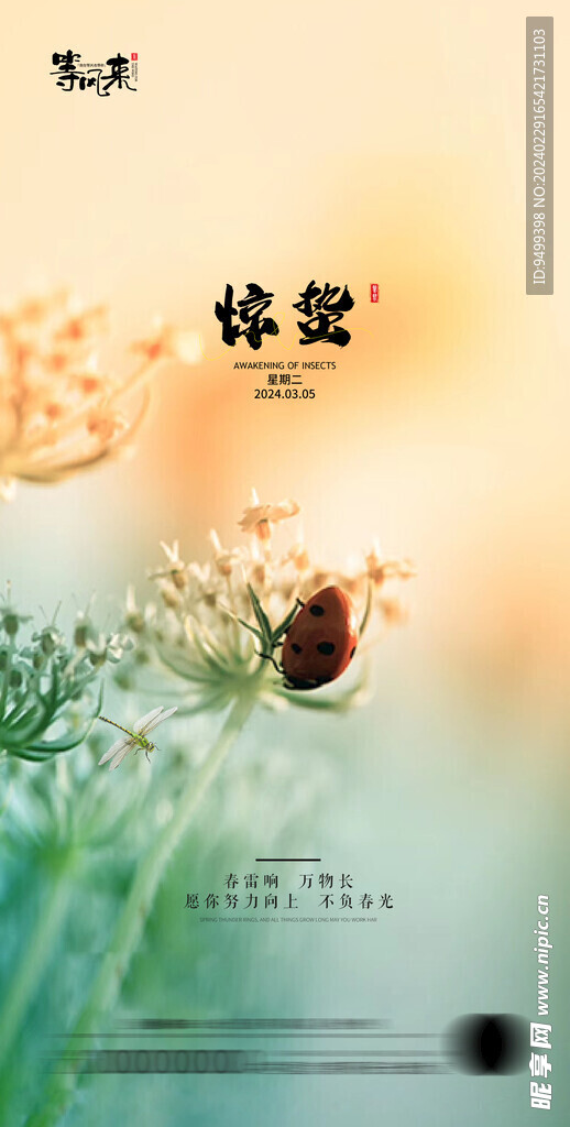 地产惊蛰海报