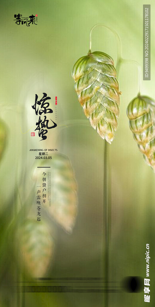 地产惊蛰海报