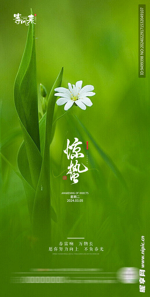 地产惊蛰海报