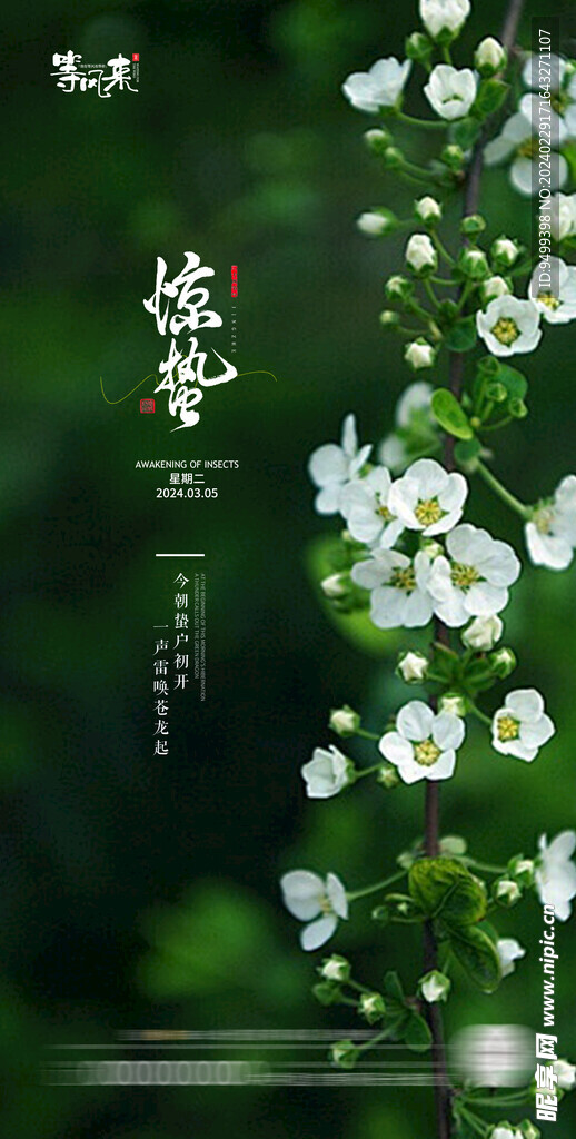地产惊蛰海报