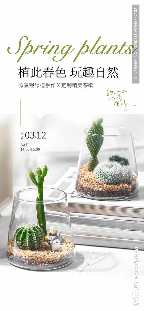 绿植纯色多肉diy活动海报