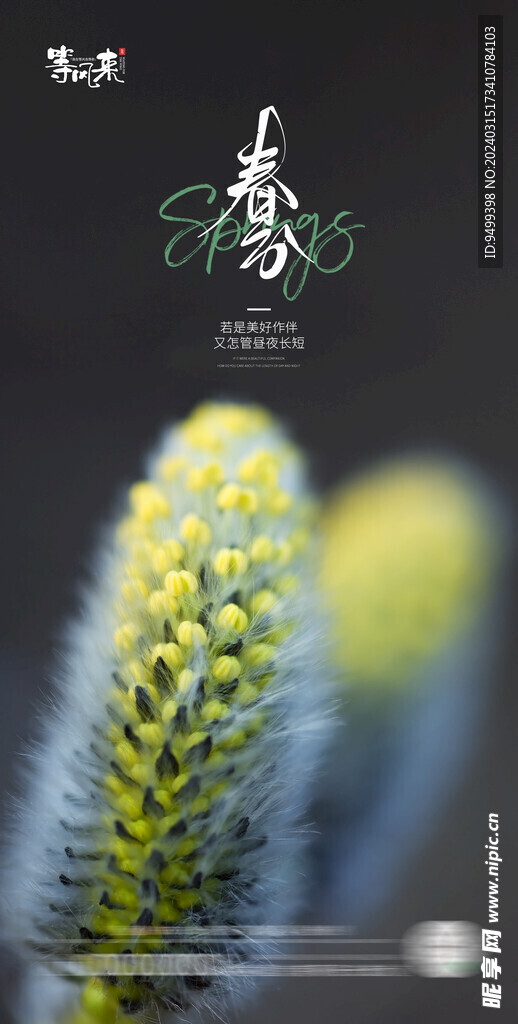医美地产春分海报