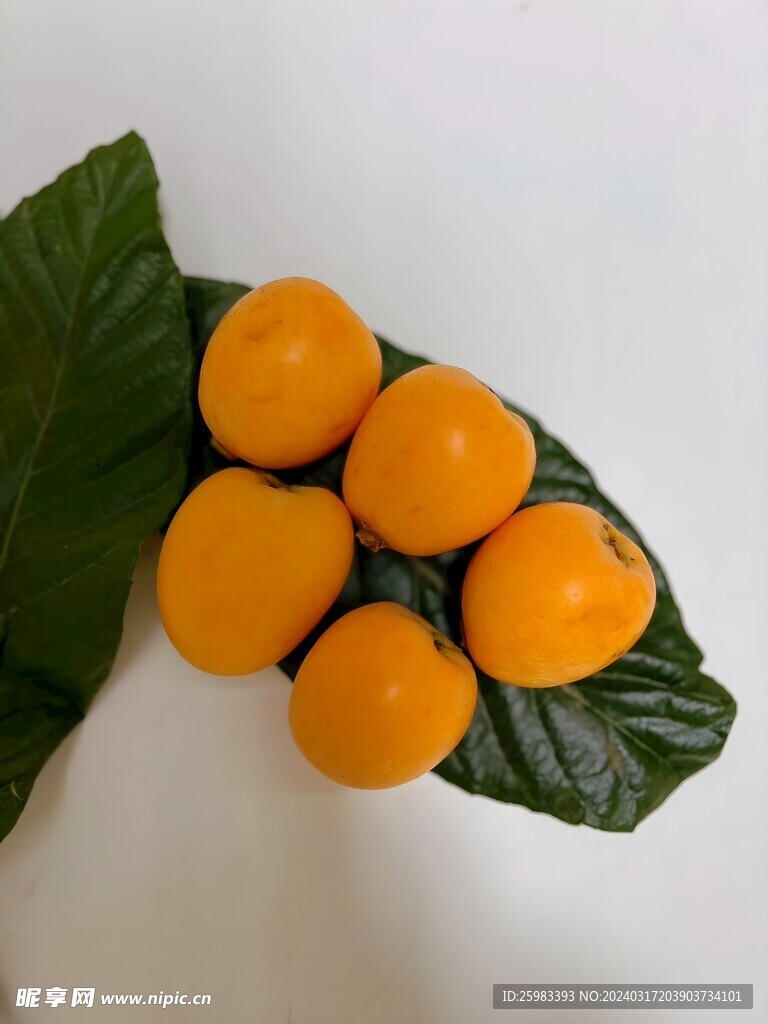 枇杷