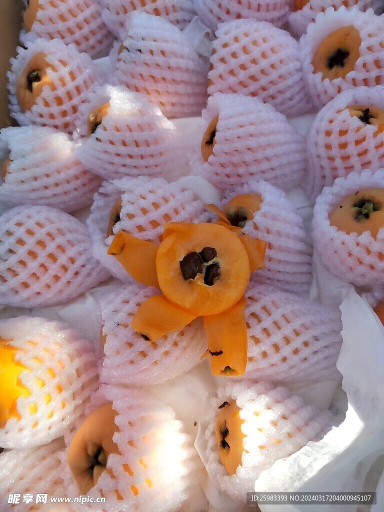 枇杷