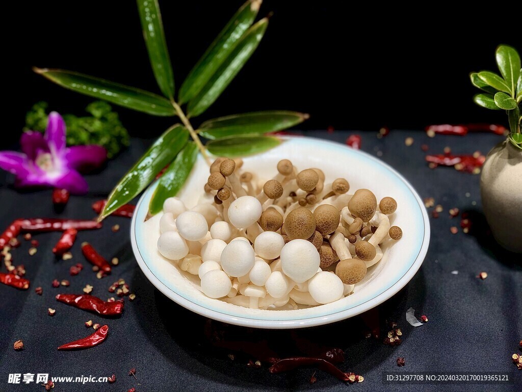 白玉菇