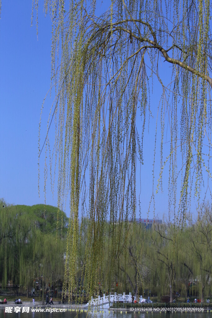 公园风景 