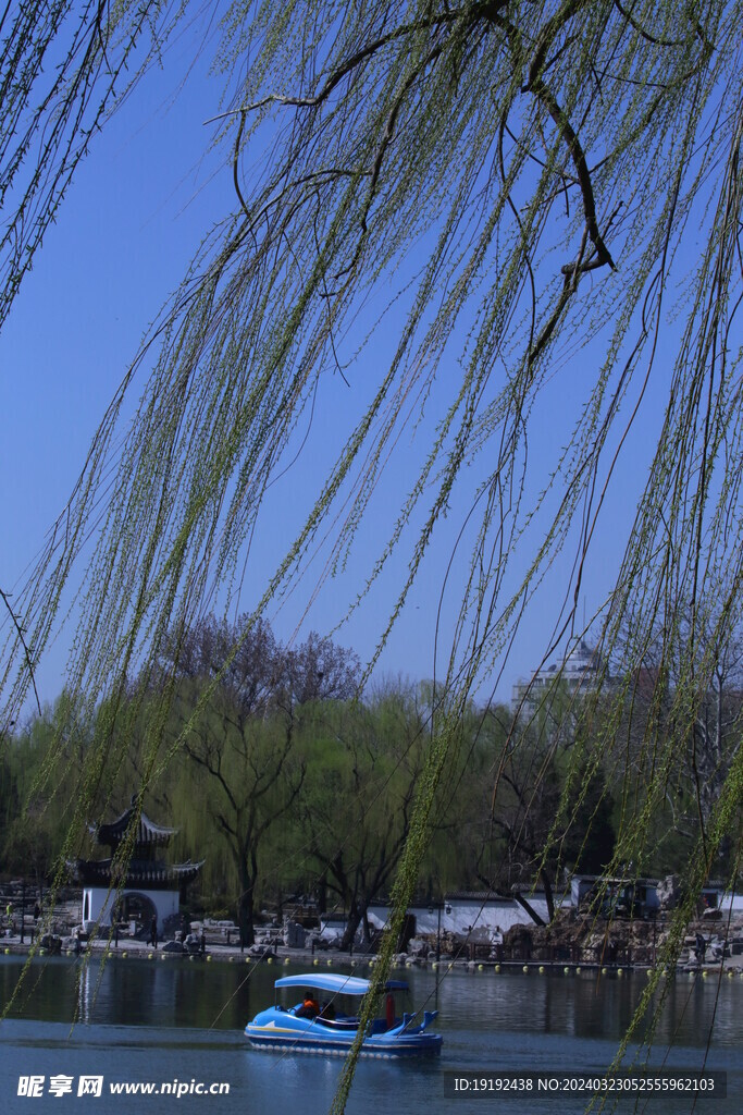 公园风景 
