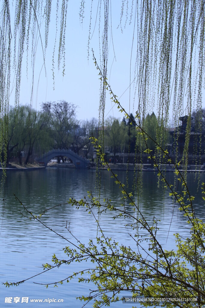 公园风景 