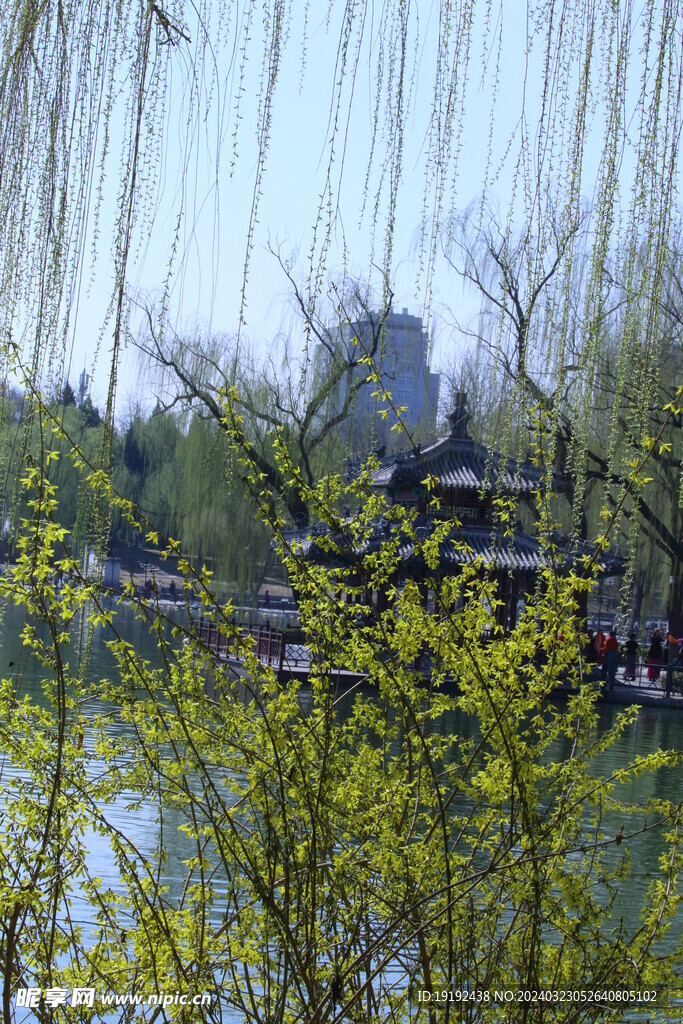 公园风景 