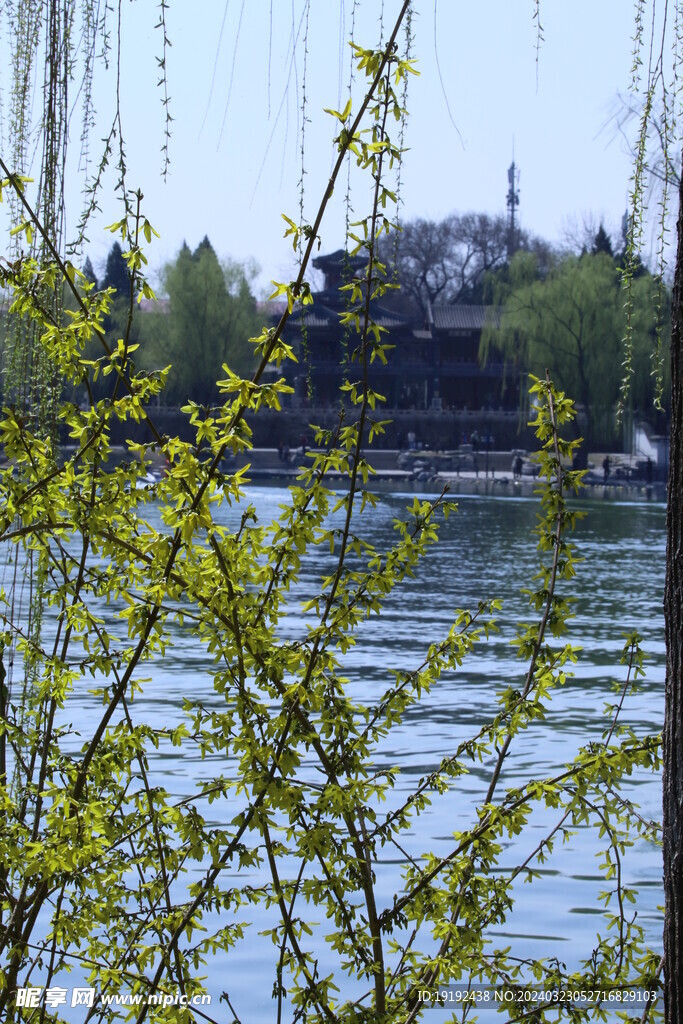 公园风景  