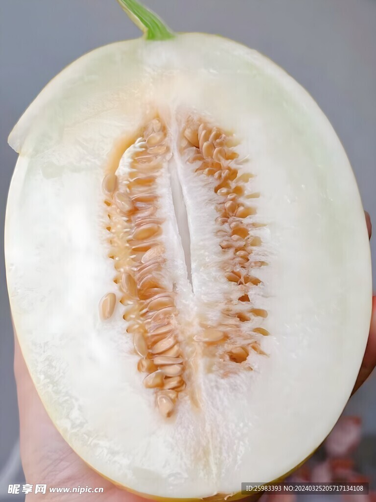 冰糖蜜瓜