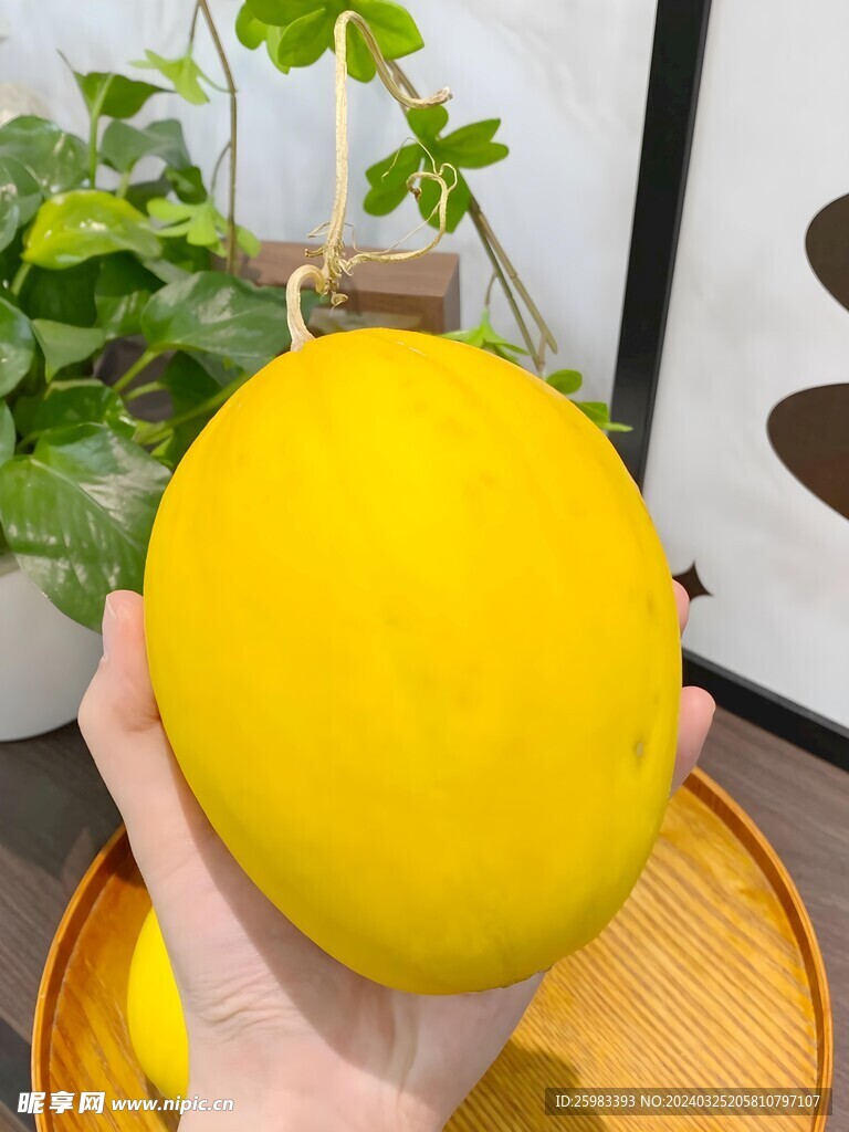 冰糖蜜瓜