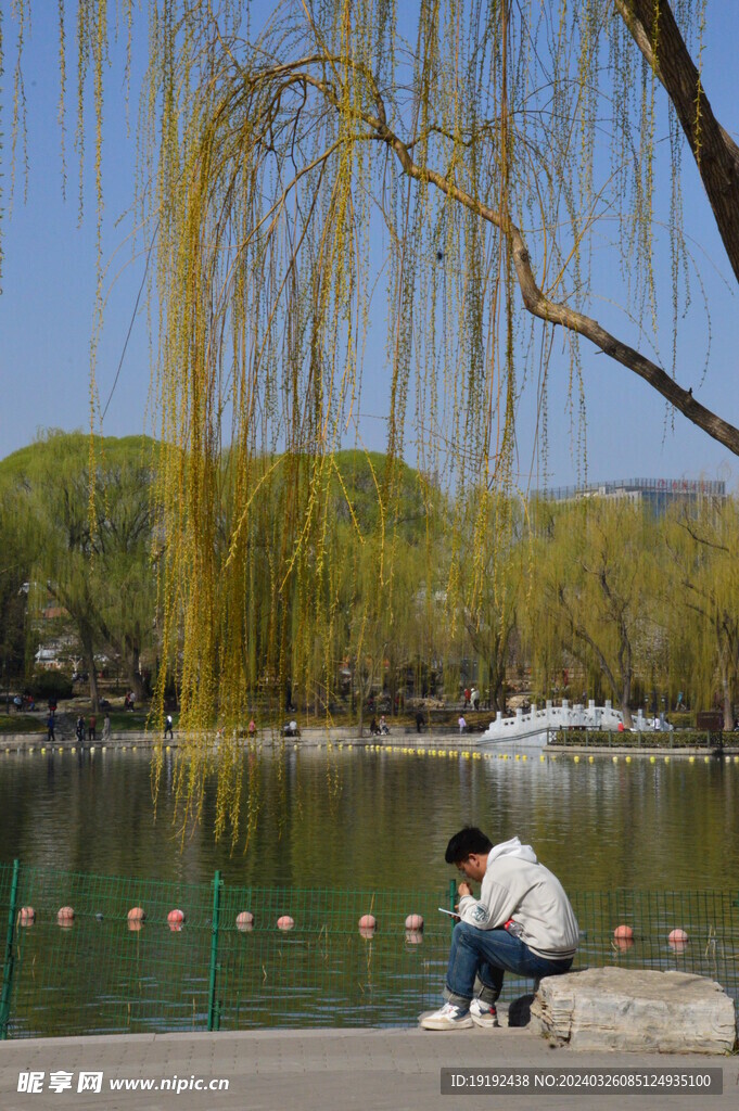 公园风景 