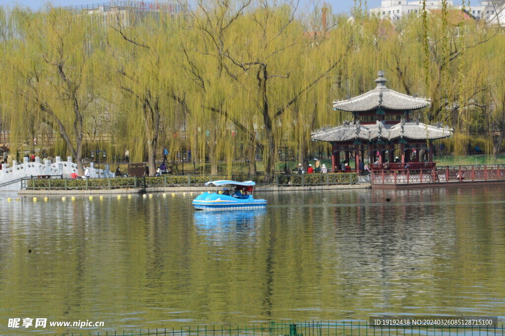 公园风景