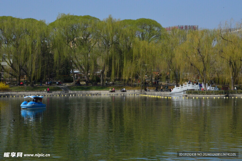 公园风景 