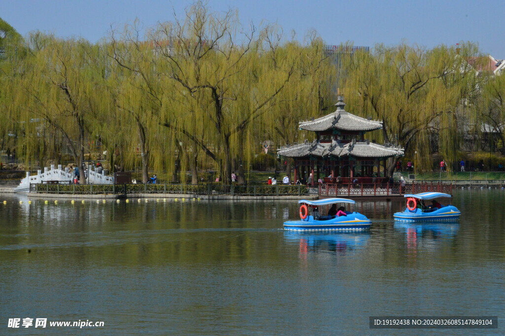 公园风景 