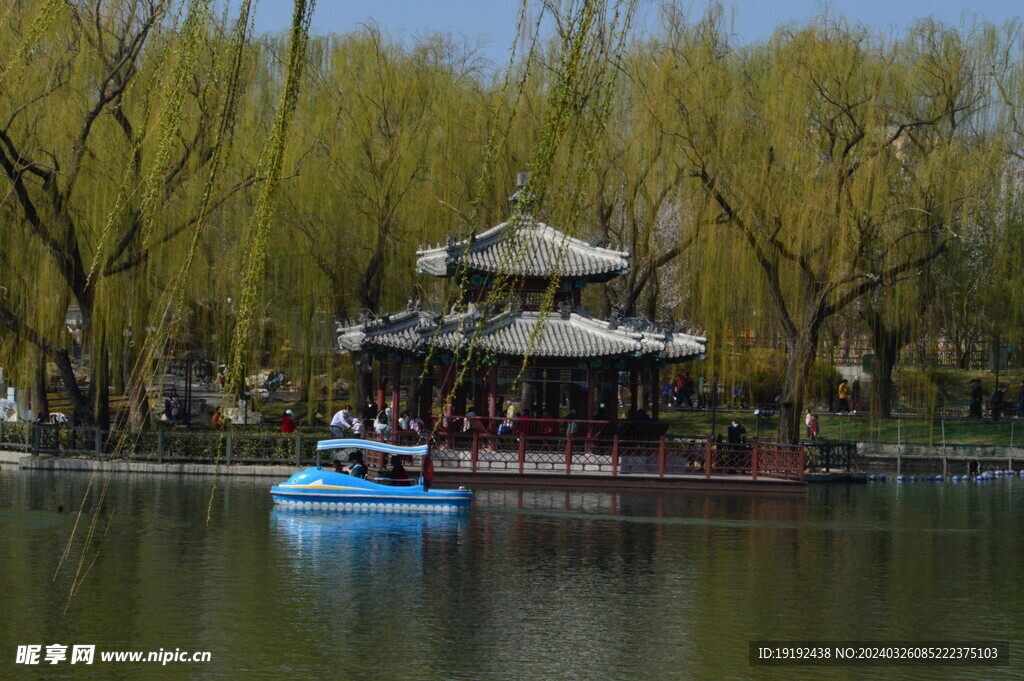 公园风景 
