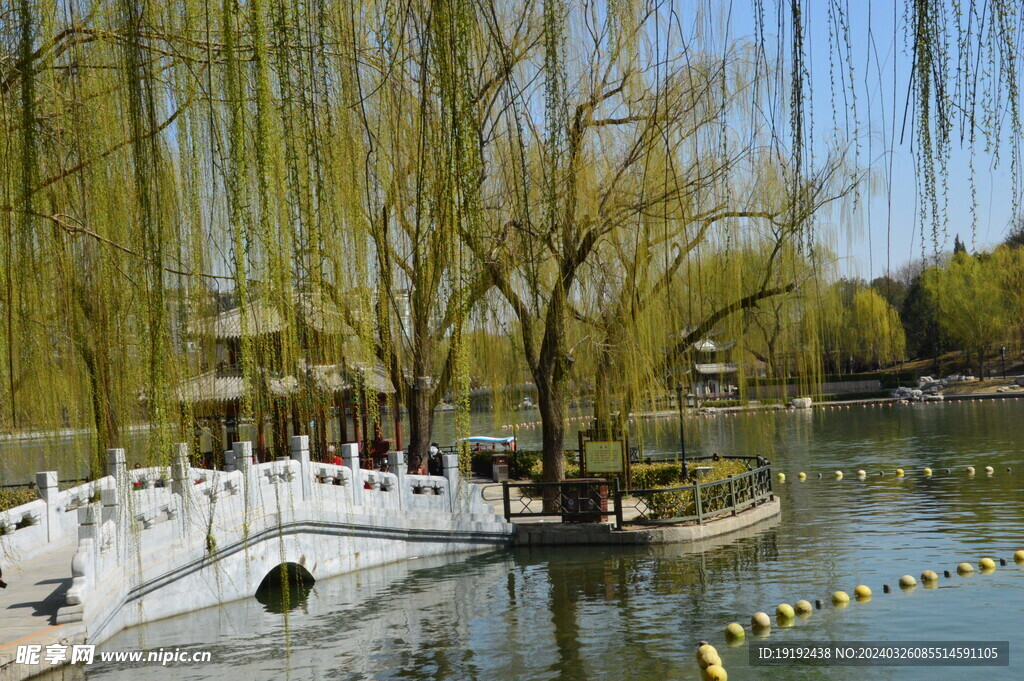 公园风景