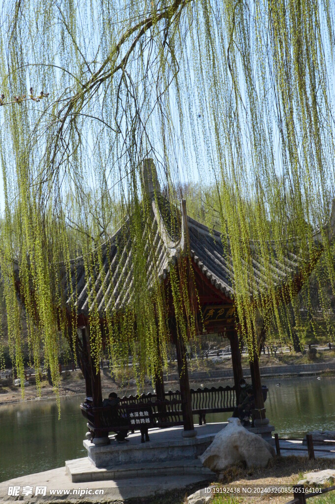 公园风景