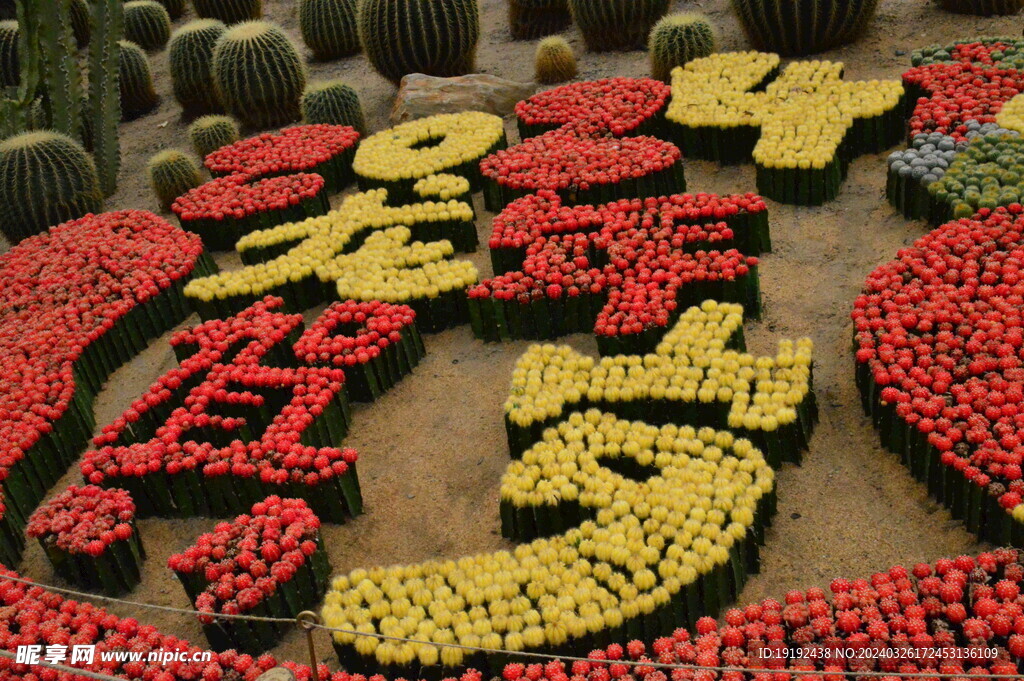 温室花草 
