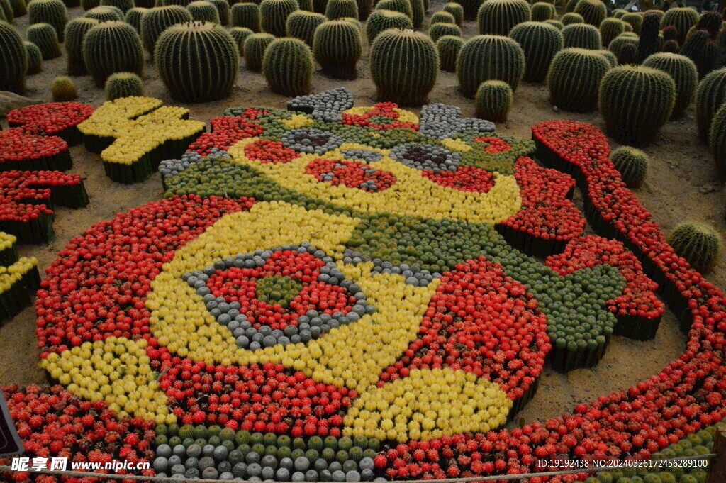 温室花草 