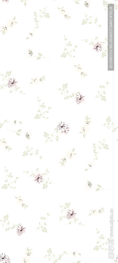 乱花   