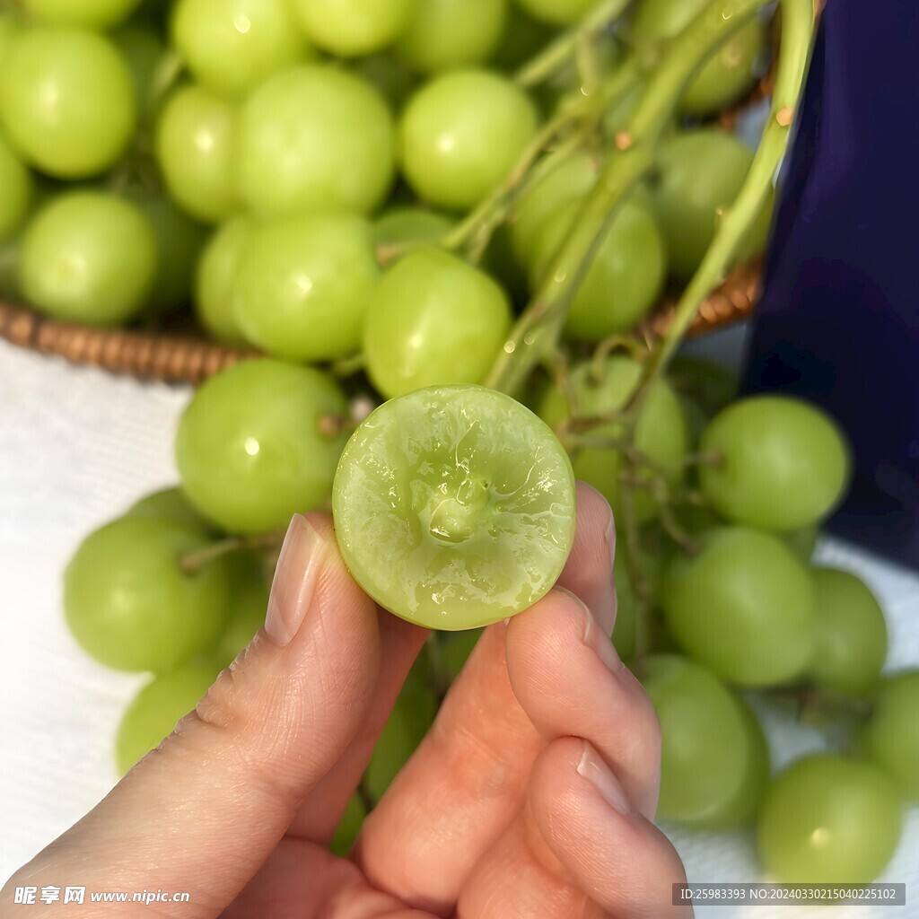 葡萄