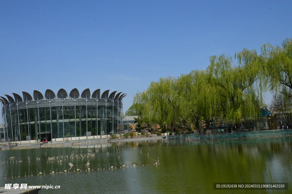 公园风景 