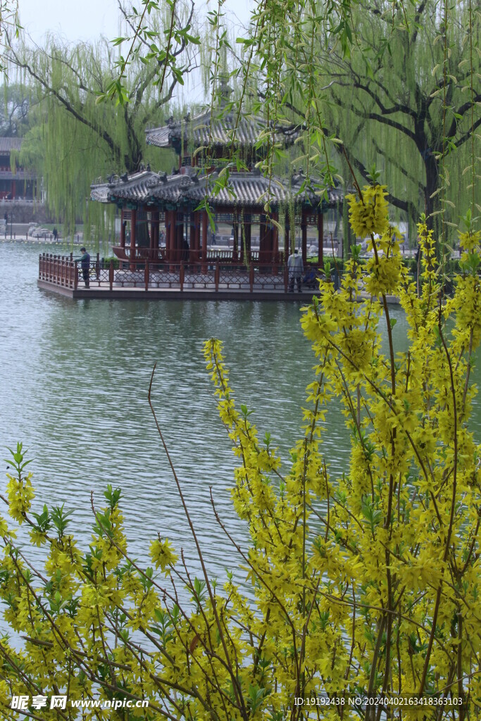 公园风景 