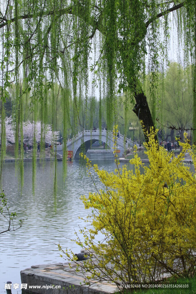 公园风景  