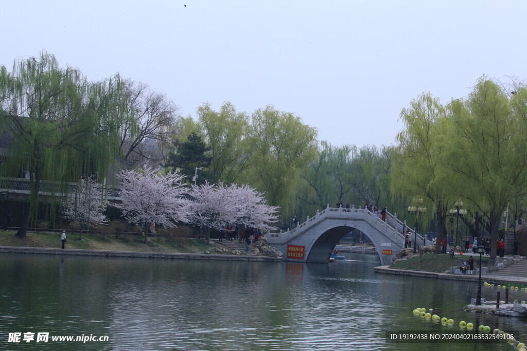 公园风景 
