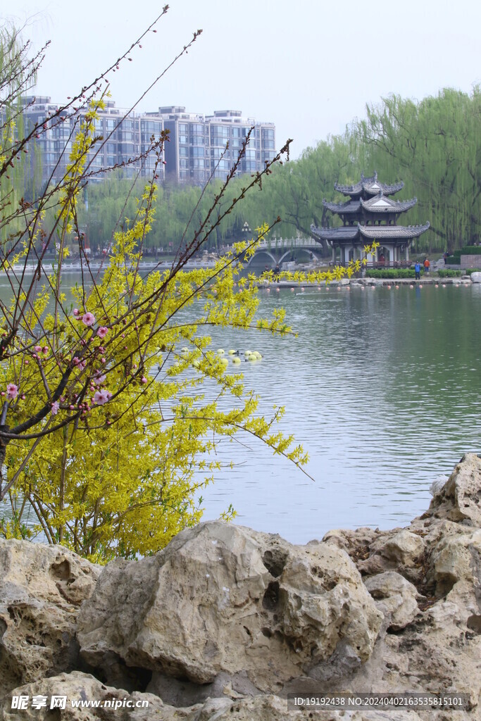 公园风景  