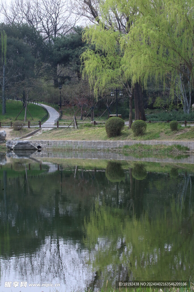 公园风景 