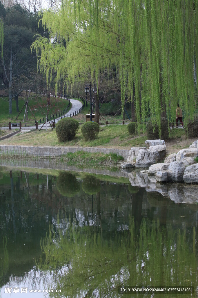 公园风景