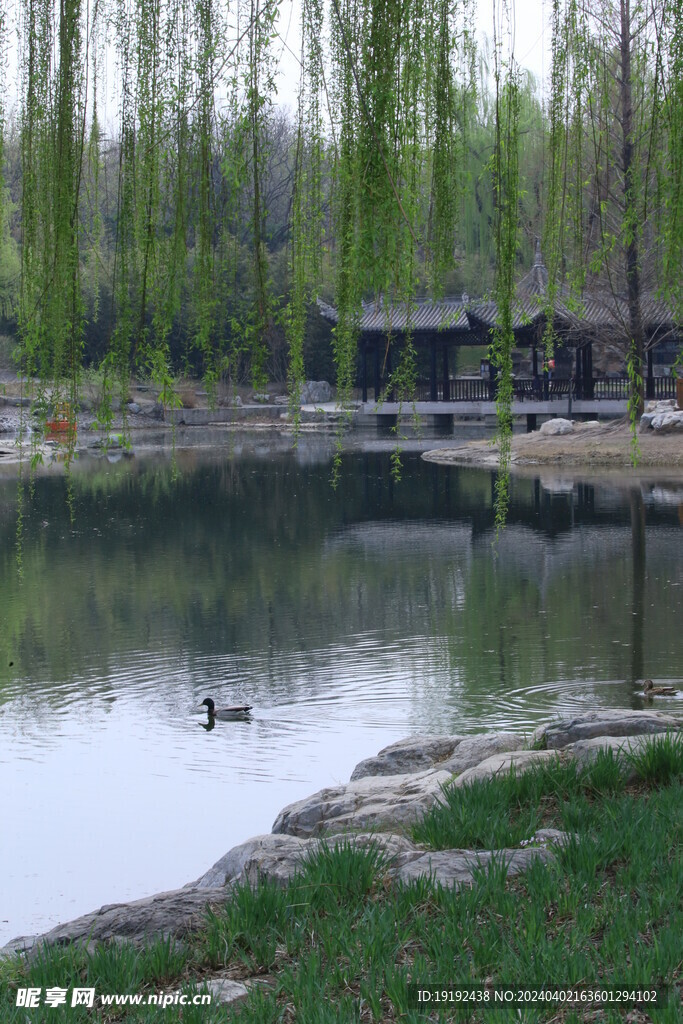 公园风景 