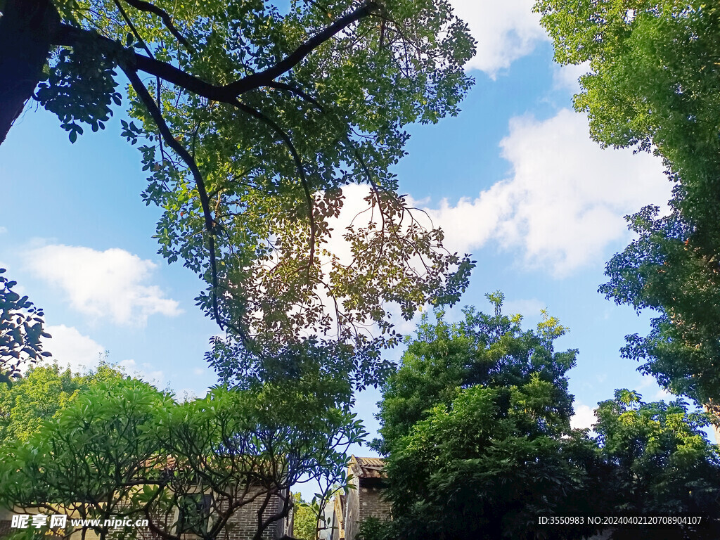 青山绿水