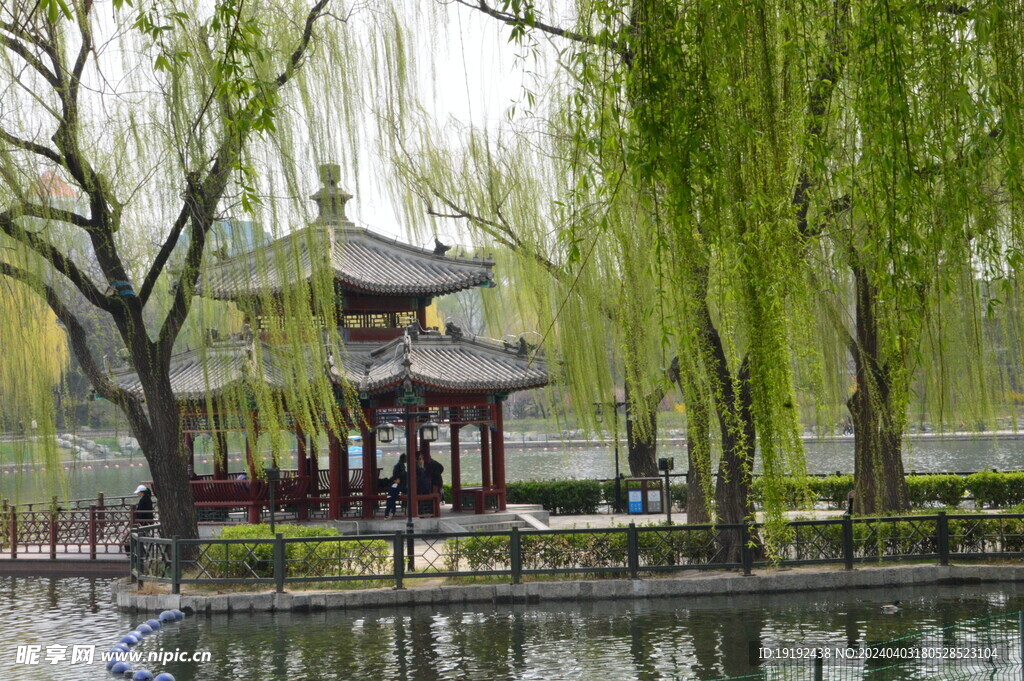 公园风景 