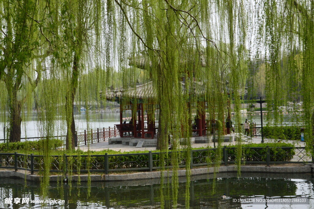 公园风景 