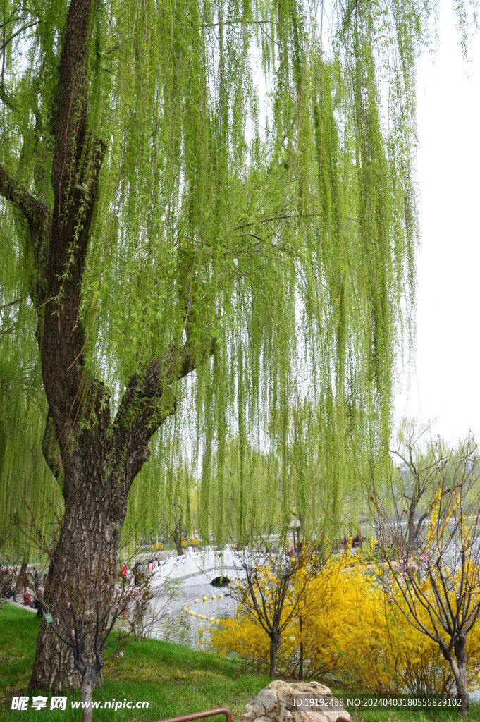 公园风景  