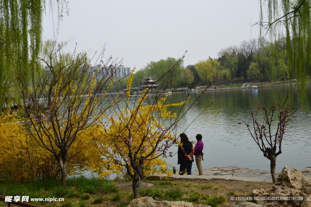 公园风景  