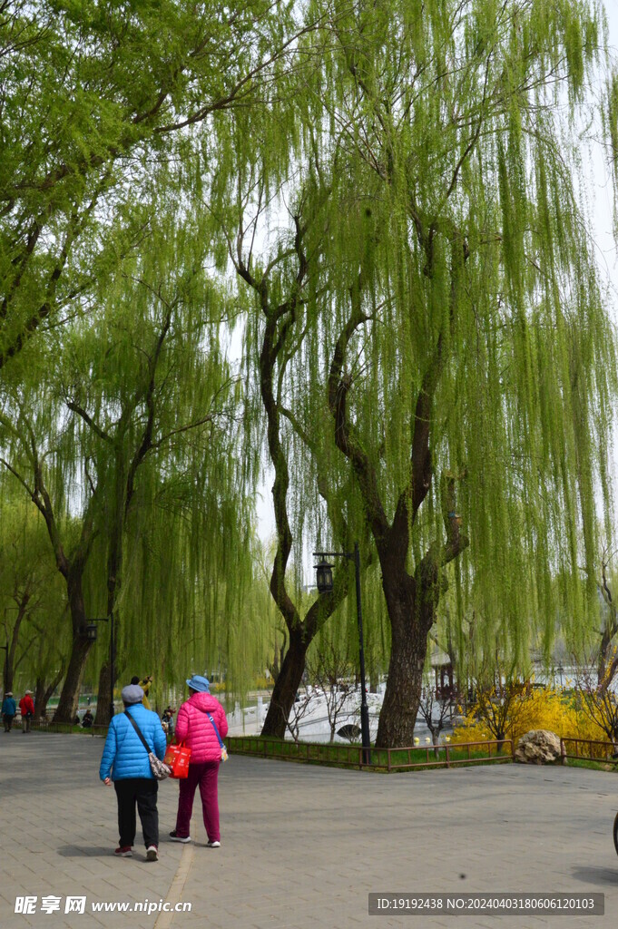 公园风景 