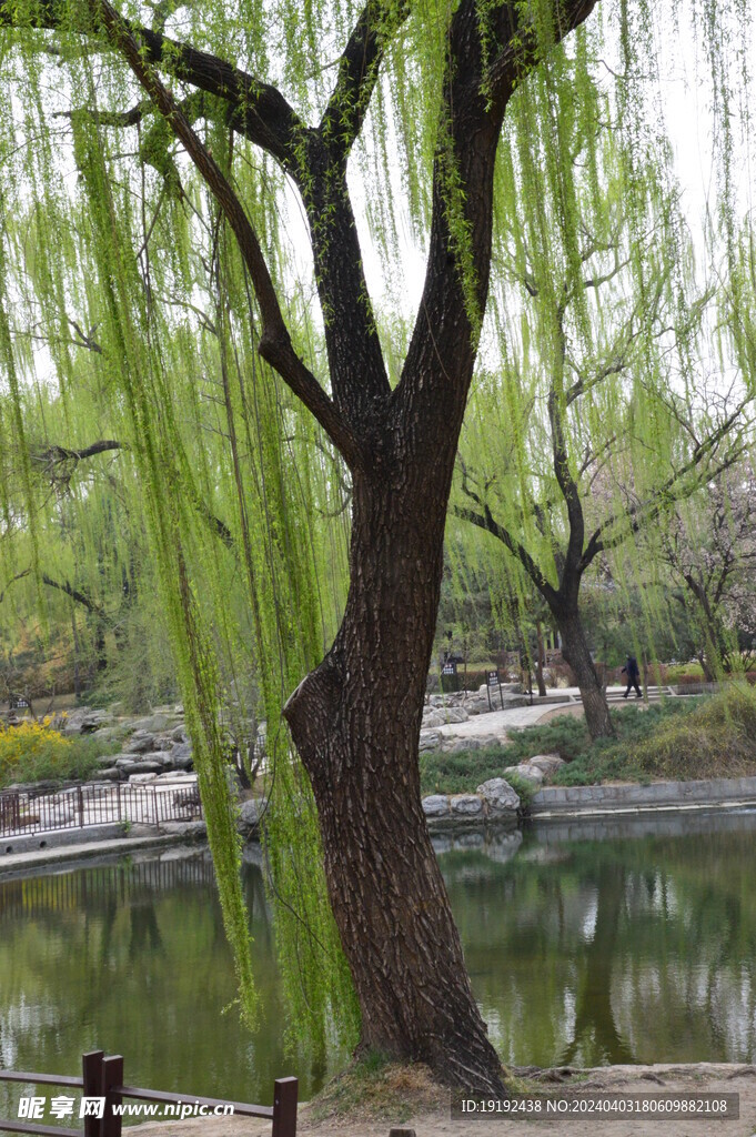 公园风景  