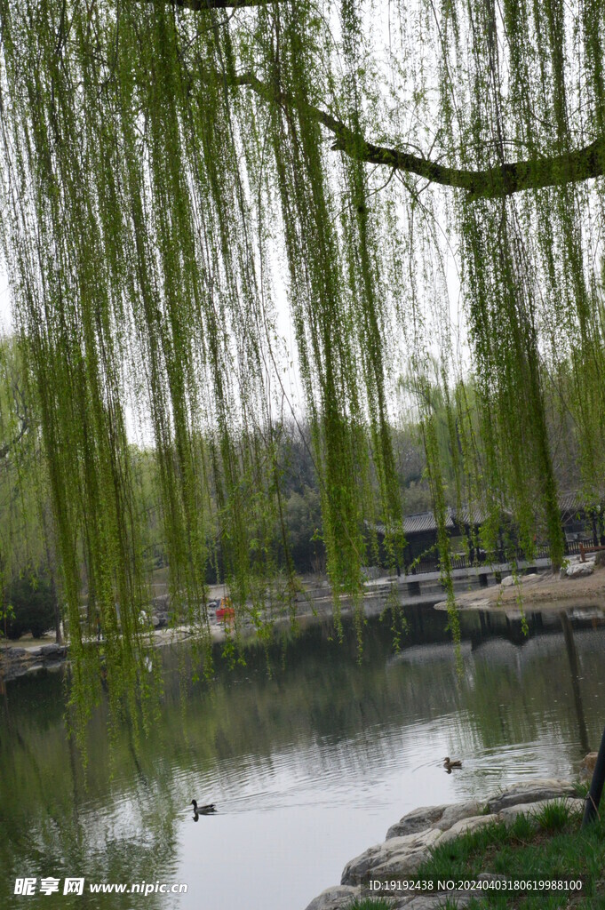 公园风景  