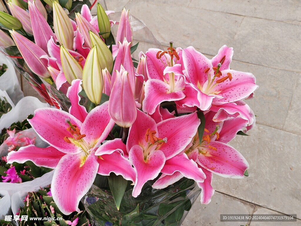 百合花