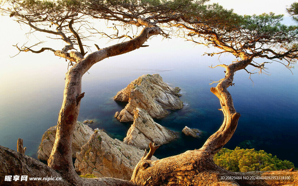 自然美景