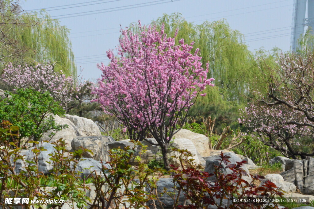 公园风景 